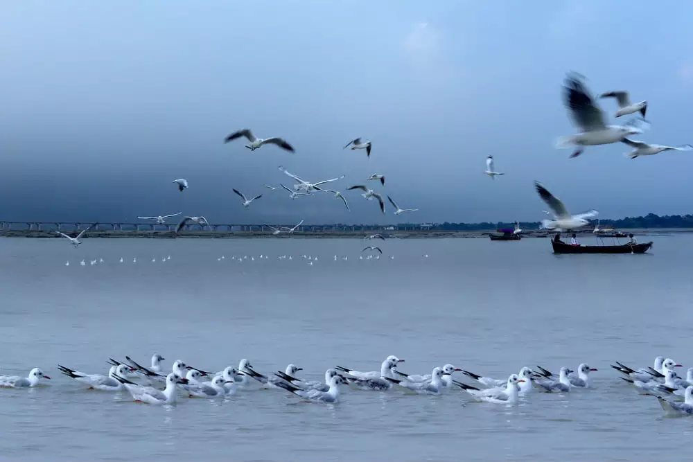 Prayagraj Darshan