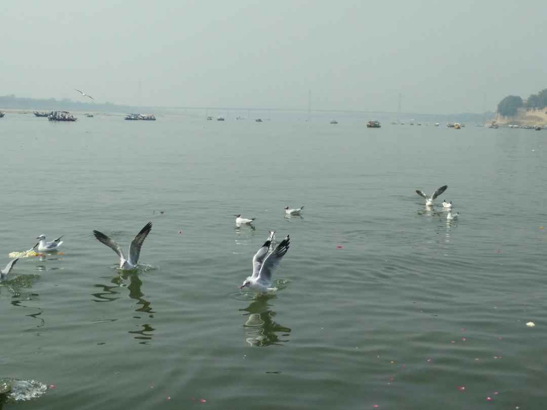 Prayagraj Darshan