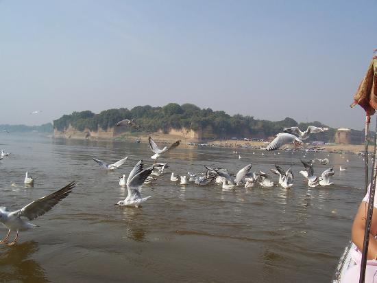 Prayagraj Darshan